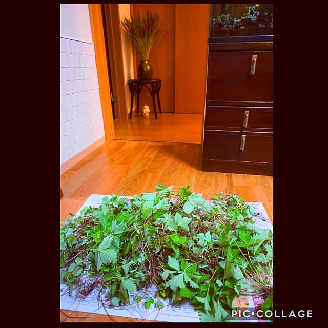 aromameさんの実例写真