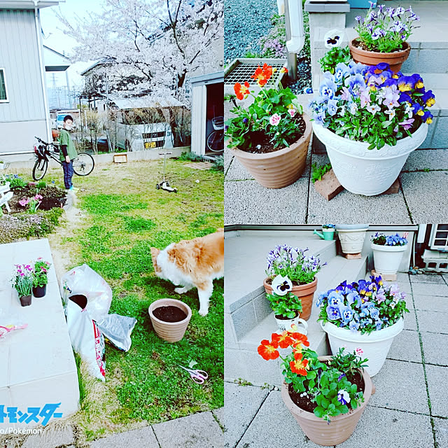 実例写真