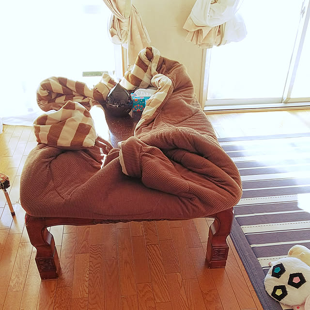kids5さんの実例写真