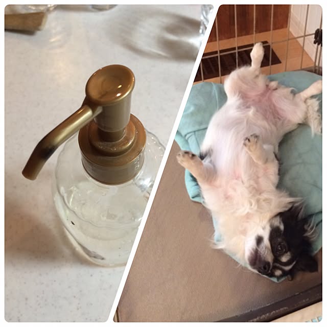 yukkoさんの実例写真