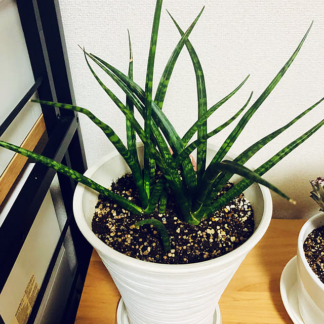 hanachanさんの部屋