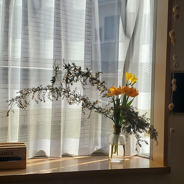 konさんの実例写真