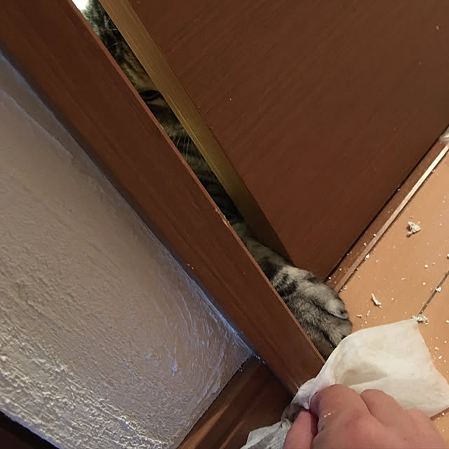 haruさんの実例写真