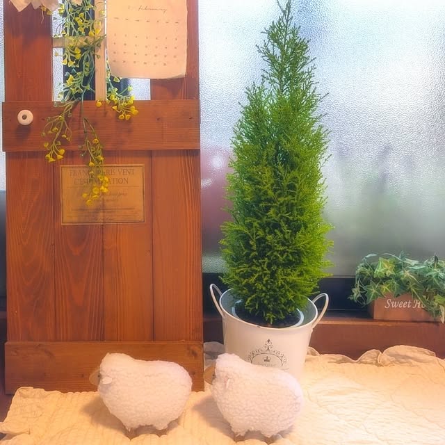 harumoeさんの実例写真