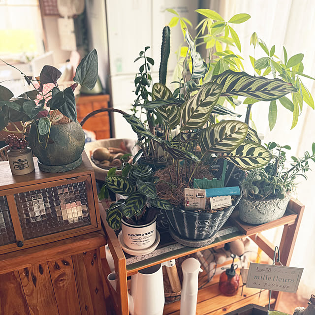 Rucy3107さんの部屋