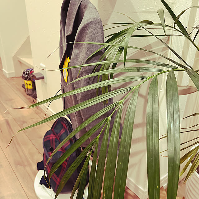 asasouさんの部屋