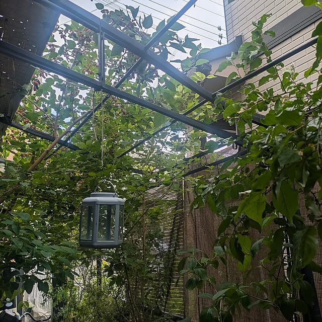 mori_6_12さんの部屋