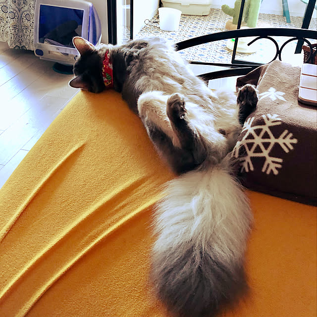 paradise_viewさんの実例写真