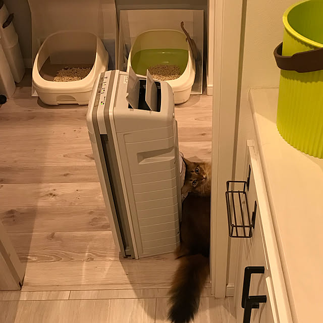 puniyumiさんの実例写真