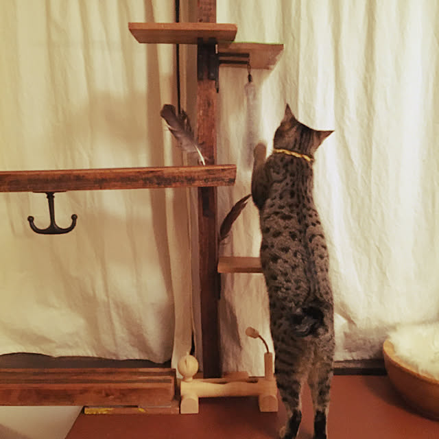Mさんの実例写真