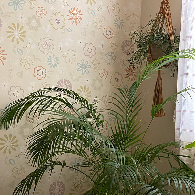 misacoさんの実例写真