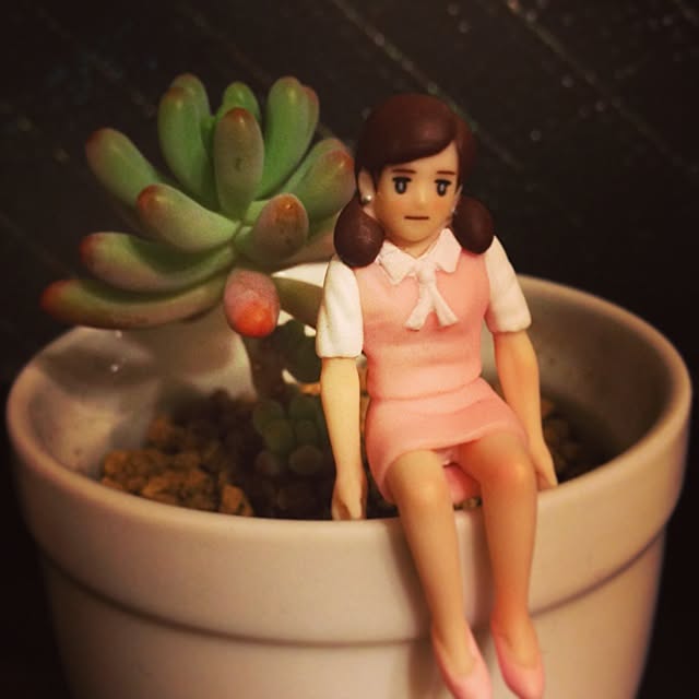 zonekoさんの実例写真