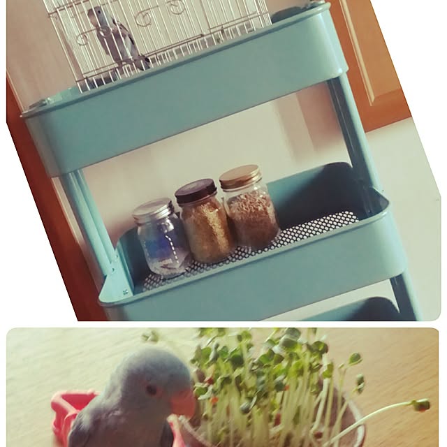 amu_latteさんの実例写真