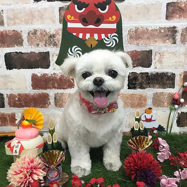 moco.nさんの実例写真
