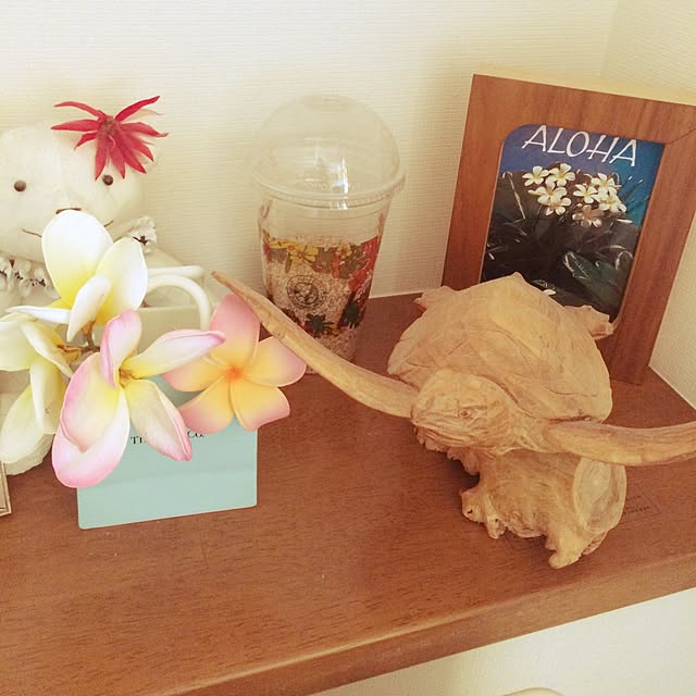 pilialohalilikoiさんの実例写真