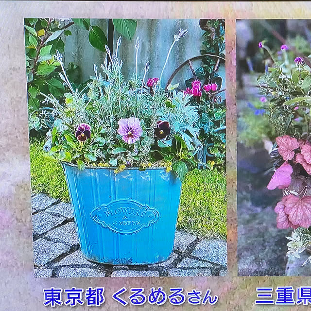kurumeruさんの実例写真
