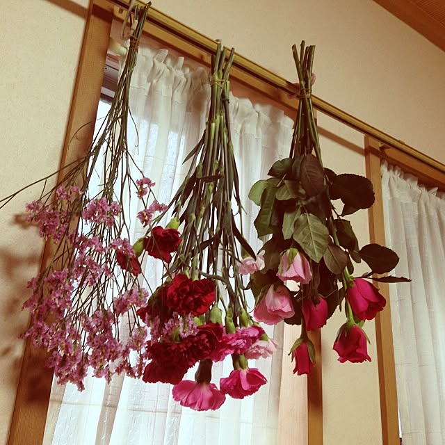 hi_iroさんの実例写真