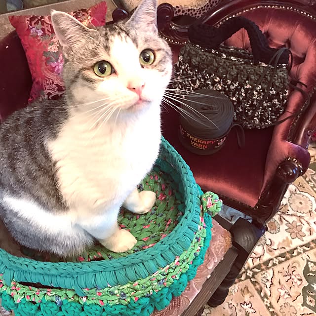 emmyyさんの実例写真