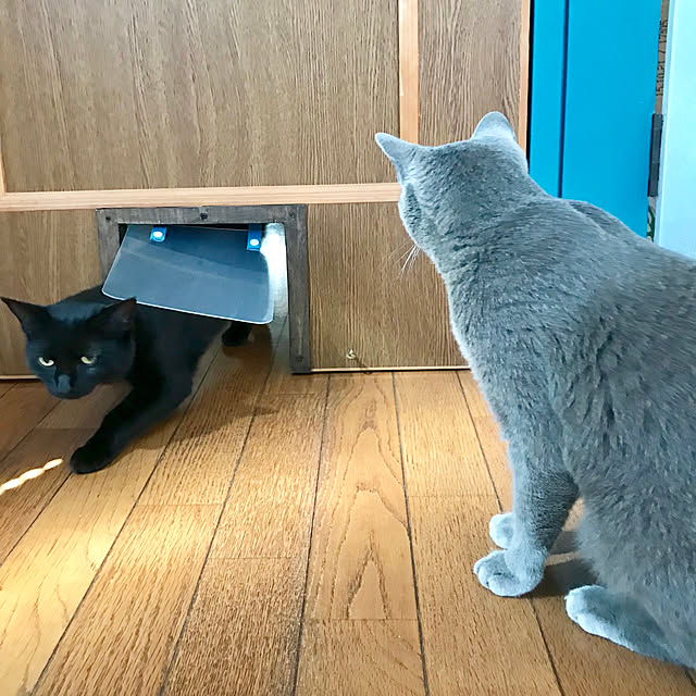 komugiさんの実例写真