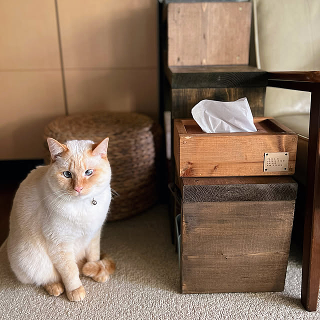 mohhaさんの実例写真