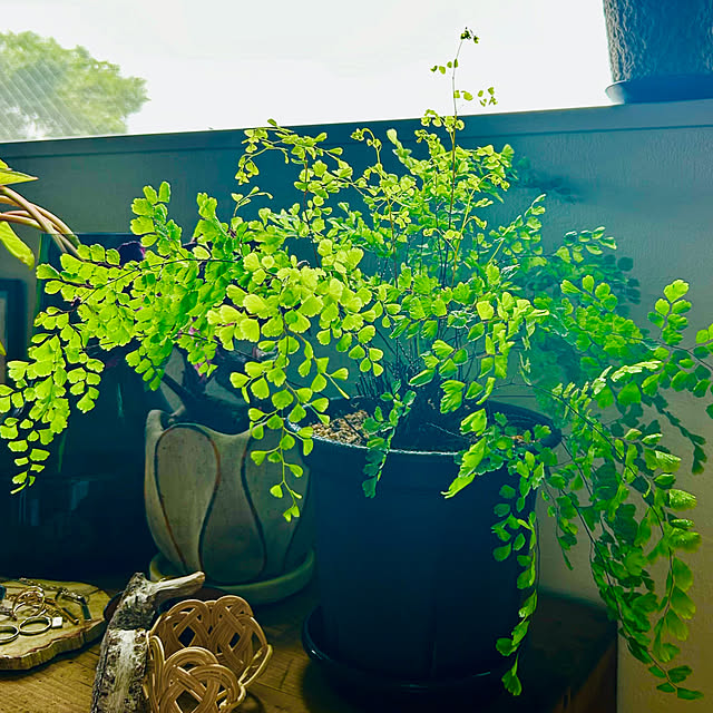 roenさんの部屋
