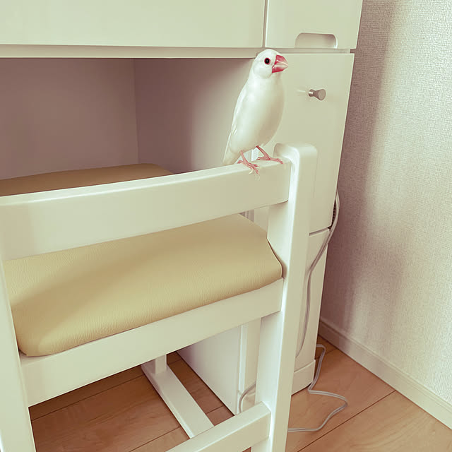 Javasparrowさんの実例写真