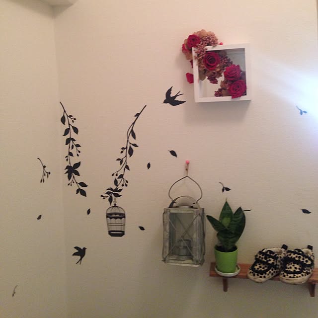 shinoさんの実例写真