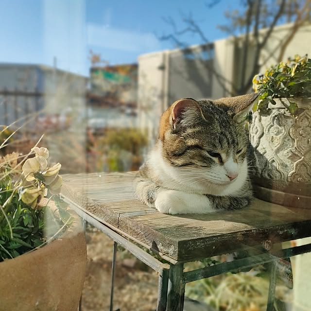 hana-さんの実例写真