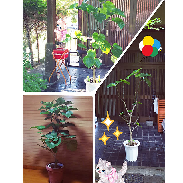 cherrycherryさんの実例写真