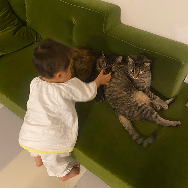 mikomaruさんの実例写真