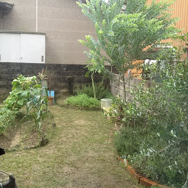 UGOさんの実例写真