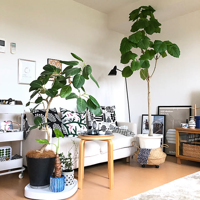 eriのtidy-tidy プランタブル・ラージ Plantable Lの家具・インテリア写真