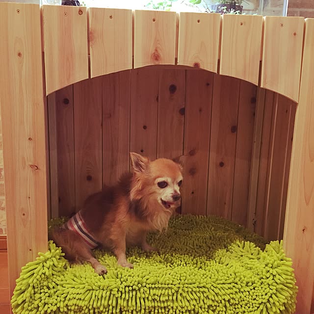 chappyさんの実例写真