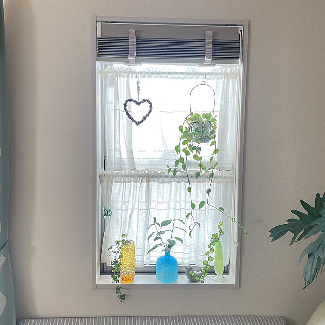 akiko-ovさんの部屋