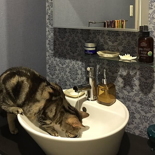akiさんの実例写真