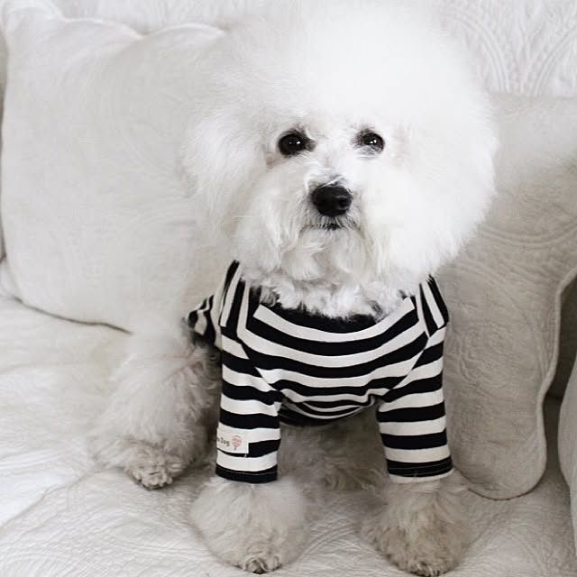 happy_bridgeさんの実例写真