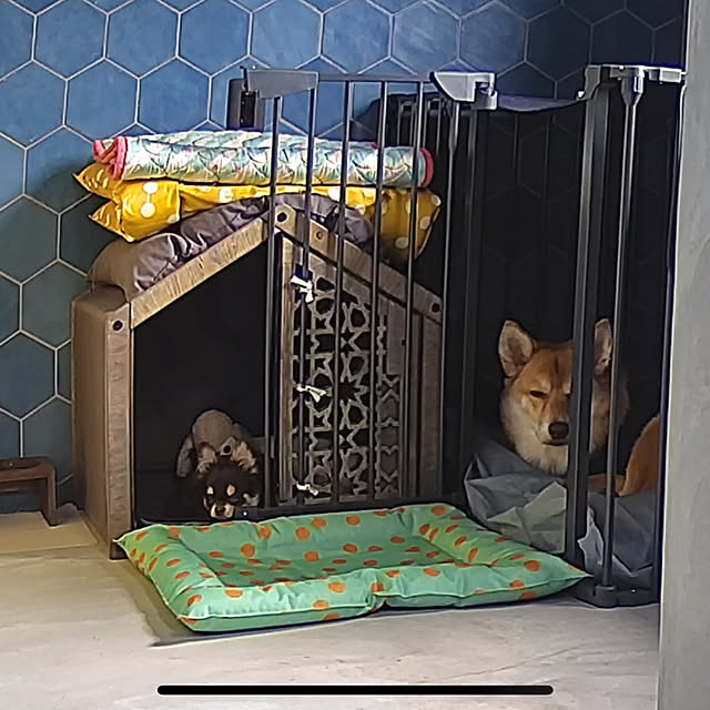 Musashiさんの部屋
