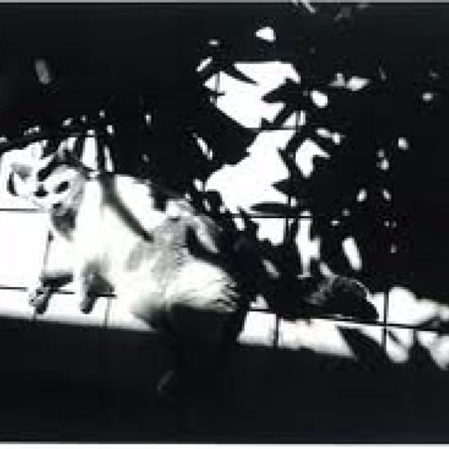 mobiri57さんの実例写真