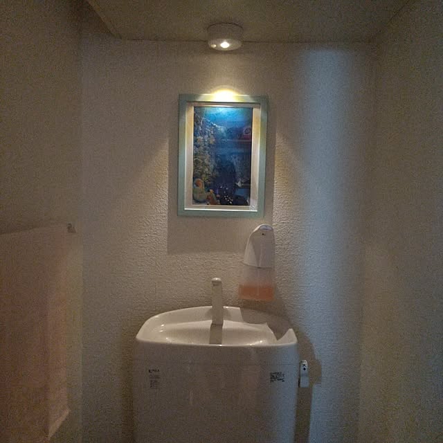 Happyhikariさんの実例写真
