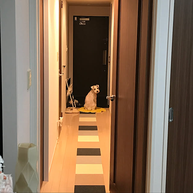 kazlegoxさんの実例写真
