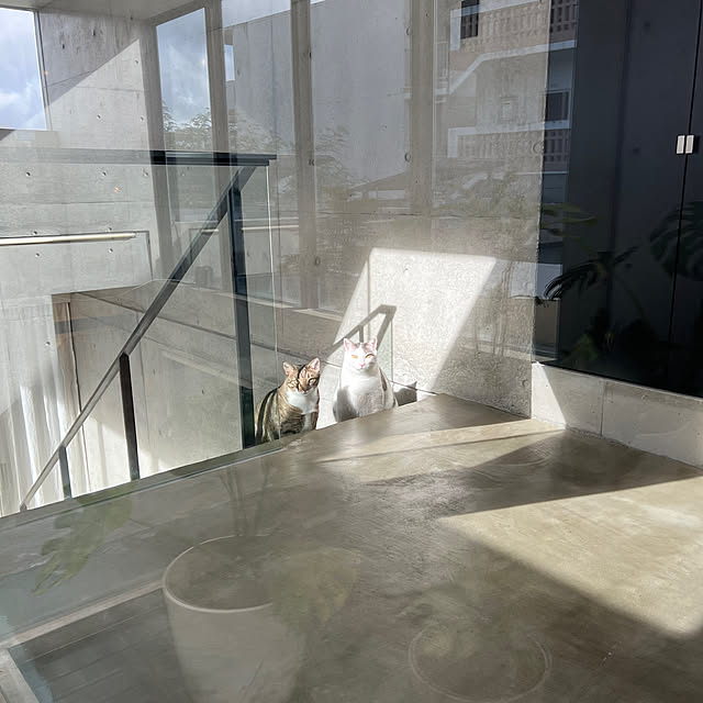 mashさんの実例写真