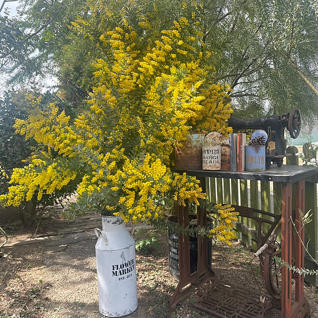 highig16さんの実例写真