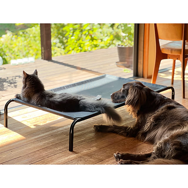 Kikko.さんの部屋