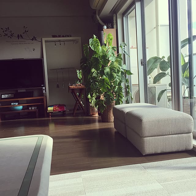 jigenさんの実例写真