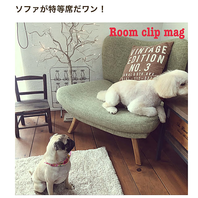 misaさんの実例写真