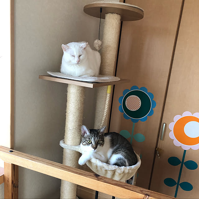 junbuさんの実例写真