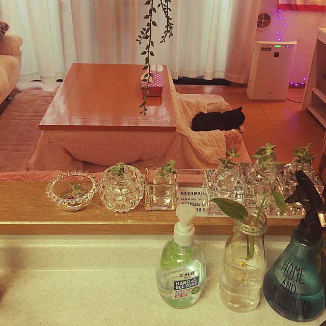 kanaさんの実例写真