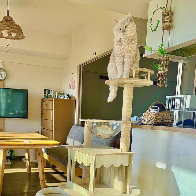 naokoさんの部屋