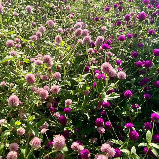 na-chanさんの部屋