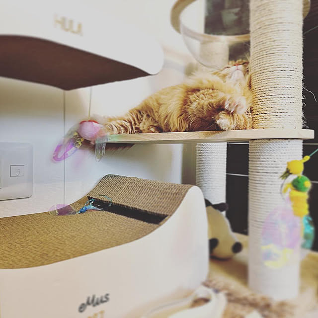 HULAさんの部屋